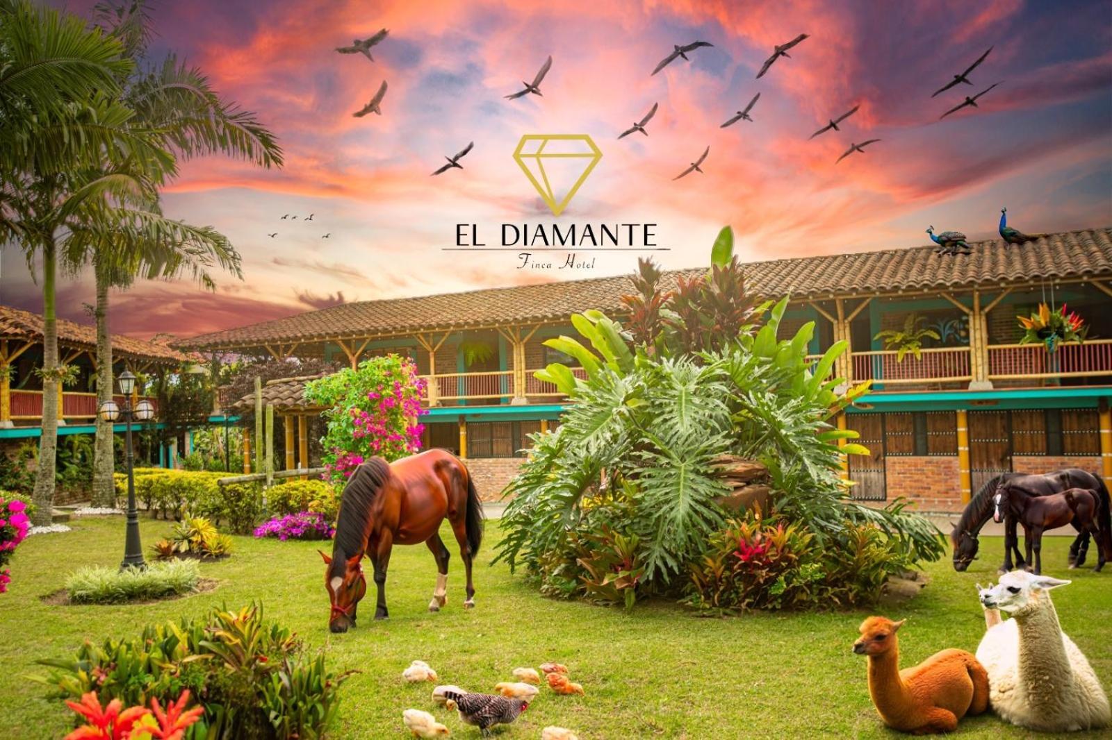 Finca Hotel El Diamante Calarcá Buitenkant foto