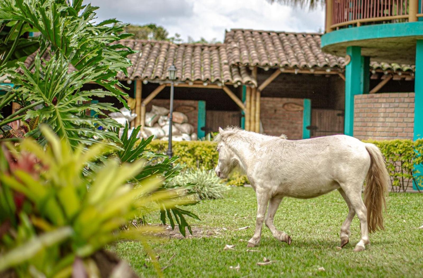 Finca Hotel El Diamante Calarcá Buitenkant foto